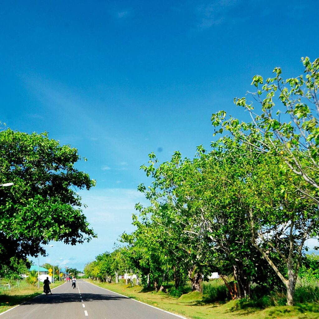 道路交通のイメージ